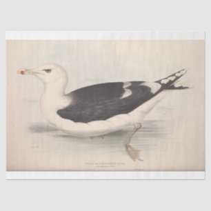 Papier Mousseline Découpage Ephémère Oiseau Mouette Vintage