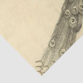 Papier Mousseline Découpage Ephémère Peacock (Détail)
