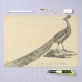 Papier Mousseline Découpage Ephémère Peacock (Artisanat)
