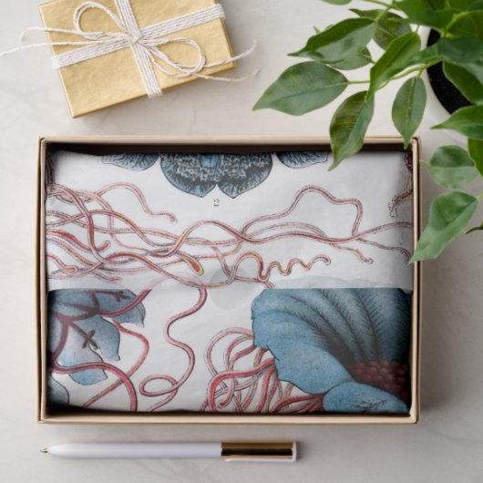 Papier Mousseline Découpage Ernst Haeckel 8 (Cadeau)