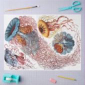 Papier Mousseline Découpage Ernst Haeckel 8 (Artisanat)