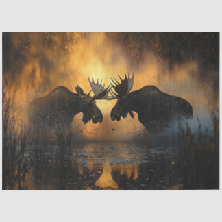 Papier Mousseline Découpage Faune 2 Moose Fighting Sunset Scene