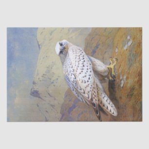 Papier Mousseline Découpage faunique Falcon Watercolor