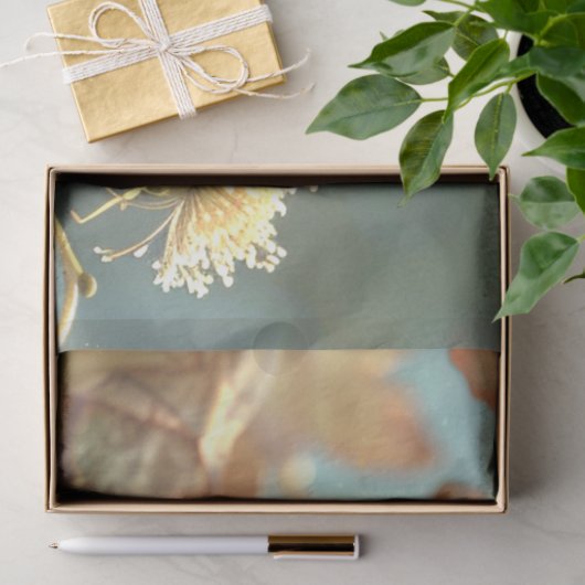 Papier Mousseline Découpage Fée Crowé Papillon (Cadeau)