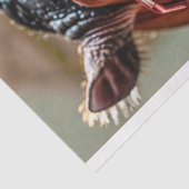 Papier Mousseline Découpage Fermer Hippo Grandes Lunettes Rouges (Détail)