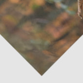 Papier Mousseline Découpage Figurines d'automne en forêt Citrouille (Détail)