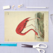 Papier Mousseline Découpage Flamant rose Ephémère (Artisanat)