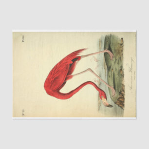 Papier Mousseline Découpage Flamant rose Ephémère
