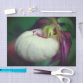 Papier Mousseline Découpage Fleur d'orchidée blanche (Artisanat)