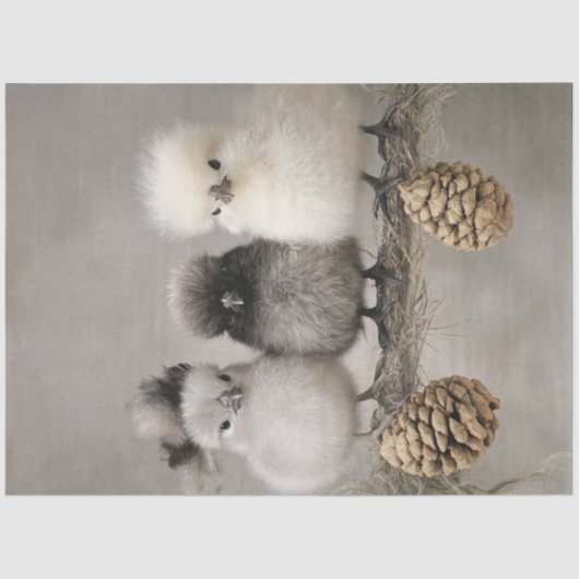 Papier Mousseline Découpage Fluffy Chicks sur une branche (Recto)