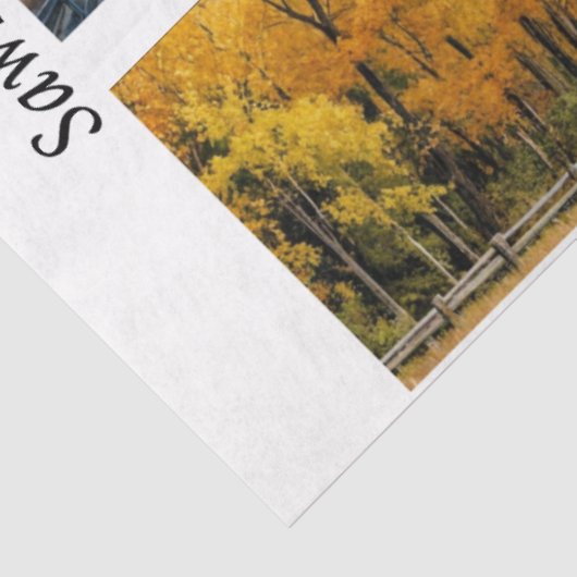 Papier Mousseline Decoupage Handsaw Designs Red Barn, Yellow Barn, (Détail)