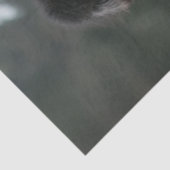 Papier Mousseline Découpage Hippie Hipsters Standard Poodles Vélo (Détail)