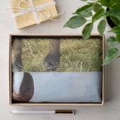 Papier Mousseline Decoupage Horse in Field Rainbow  (Cadeau)