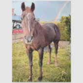 Papier Mousseline Decoupage Horse in Field Rainbow  (Recto)