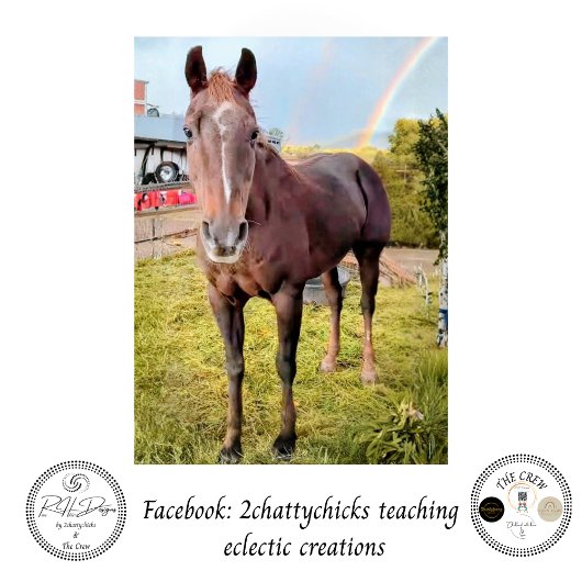 Papier Mousseline Decoupage Horse in Field Rainbow 