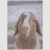 Papier Mousseline Decoupage Jerry Goat  (Recto)