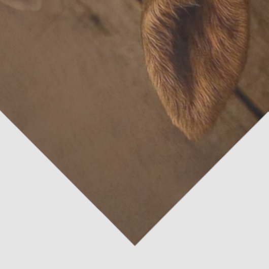 Papier Mousseline Découpage Joueuse Moose Calf Bain à bulles (Détail)