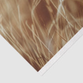 Papier Mousseline Découpage Lion blanc majestueux (Détail)