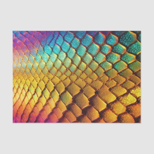 Papier Mousseline Découpage Motif de l'échelle arc-en-ciel (Recto)