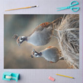 Papier Mousseline Découpage Motifs de plume unique de la Quail Gambl (Artisanat)