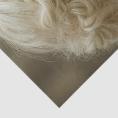 Papier Mousseline Decoupage Mystical Woman In Ivory With Owl  (Détail)