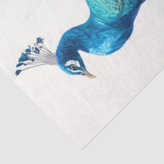 Papier Mousseline Decoupage Natures Crown Botanical Peacock  (Détail)