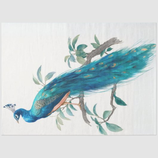 Papier Mousseline Decoupage Natures Crown Botanical Peacock (Recto)