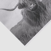 Papier Mousseline Découpage noir et blanc de la vache Highland (Détail)