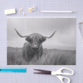 Papier Mousseline Découpage noir et blanc de la vache Highland (Artisanat)