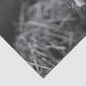 Papier Mousseline Découpage noir et blanc de la vache Holstein (Détail)