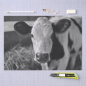 Papier Mousseline Découpage noir et blanc de la vache Holstein (Artisanat)