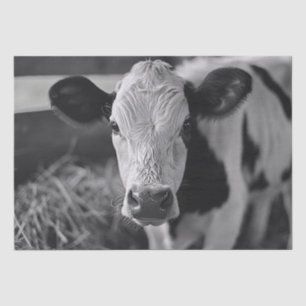 Papier Mousseline Découpage noir et blanc de la vache Holstein