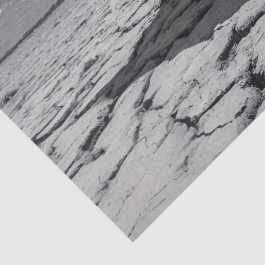 Papier Mousseline Découpage noir et blanc éléphant (Détail)