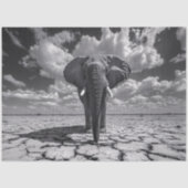 Papier Mousseline Découpage noir et blanc éléphant (Recto)