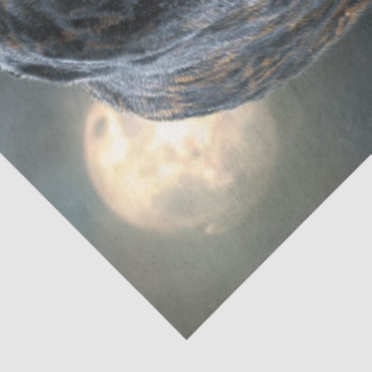 Papier Mousseline Découpage Noir Rosetta Jaguar Nuit Lune (Détail)