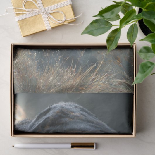 Papier Mousseline Découpage Noir Rosetta Jaguar Nuit Lune (Cadeau)