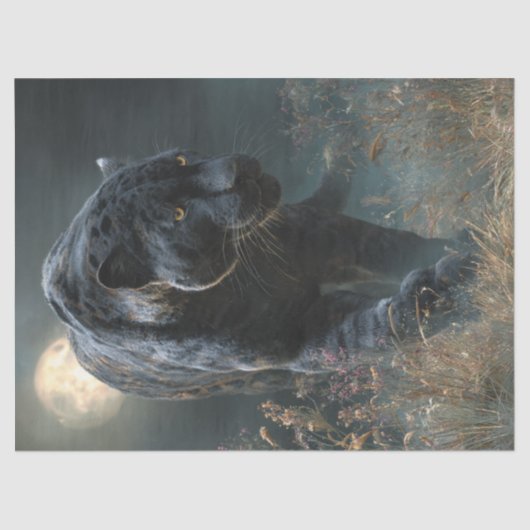 Papier Mousseline Découpage Noir Rosetta Jaguar Nuit Lune (Recto)