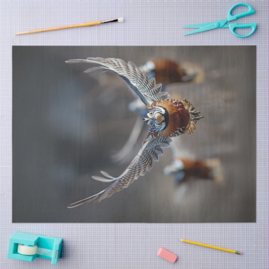 Papier Mousseline Découpage Oiseau complexe en vol (Artisanat)