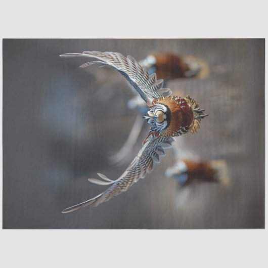Papier Mousseline Découpage Oiseau complexe en vol (Recto)