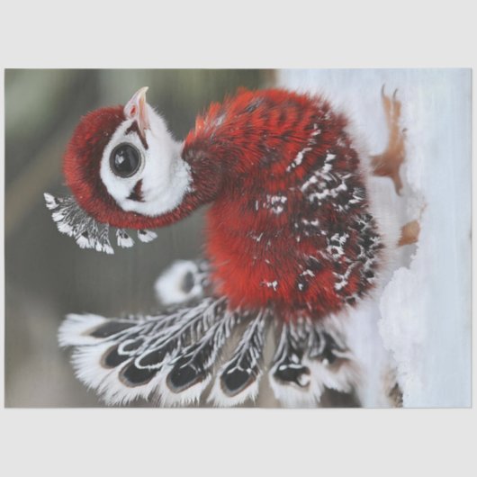 Papier Mousseline Découpage Oiseau de Noël en plumes rouges et noire (Recto)