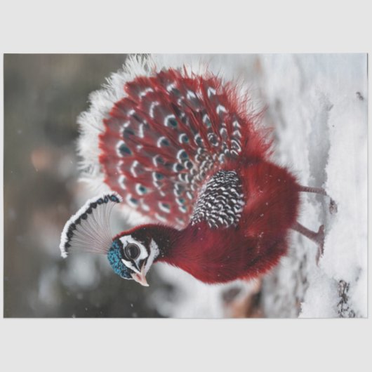 Papier Mousseline Découpage Oiseau de Noël rouge exotique (Recto)