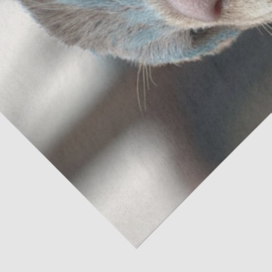 Papier Mousseline Découpage Otter Guerrier Costume bleu (Détail)