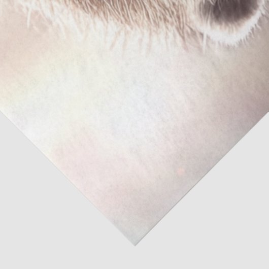 Papier Mousseline Découpage Otter Whimsical Jouer Guitare (Détail)