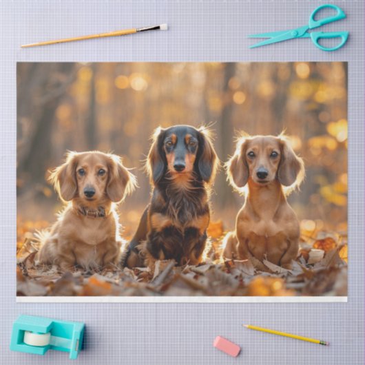 Papier Mousseline Découpage Paramètre d'automne Dachshunds Feuilles  (Artisanat)