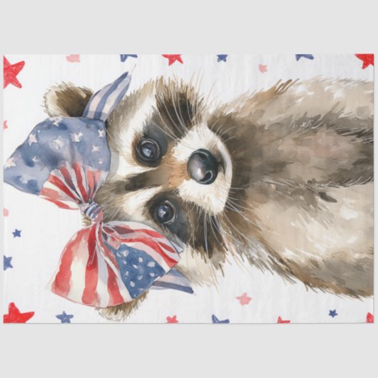 Papier Mousseline Découpage Patriotic Raccoon Whimsical 4 juillet (Recto)