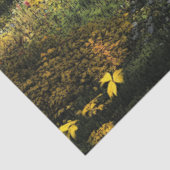 Papier Mousseline Découpage Pays Pont couvert Parcours Automne (Détail)