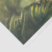 Papier Mousseline Découpage Perroquets de conure fantaisie (Détail)