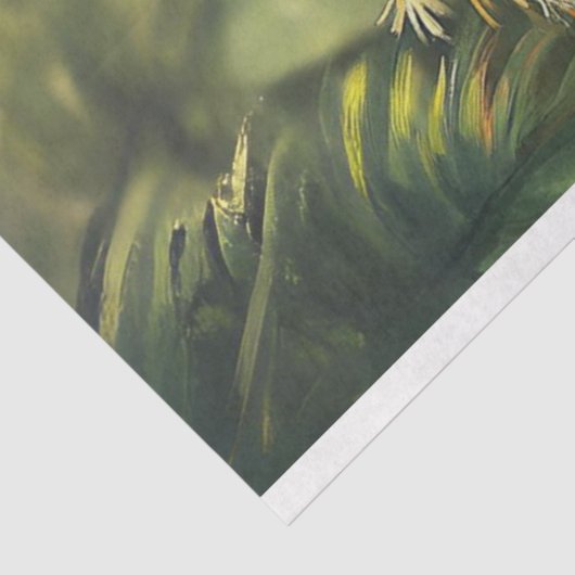 Papier Mousseline Découpage Perroquets de conure fantaisie (Détail)