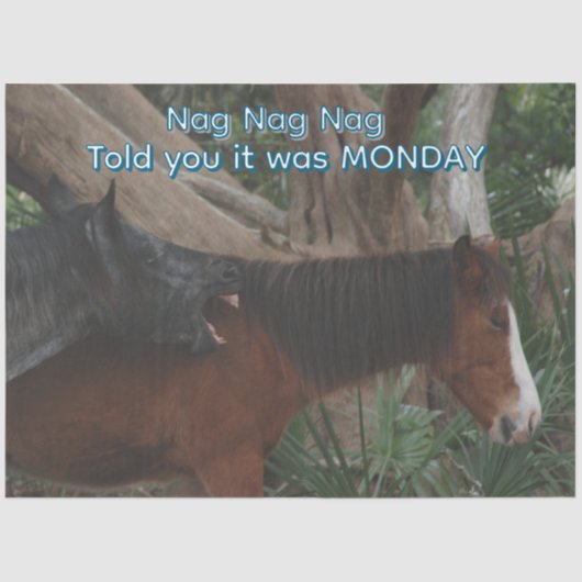 Papier Mousseline Découpage Personnalisable Cheval Humoristique Impr (Recto)