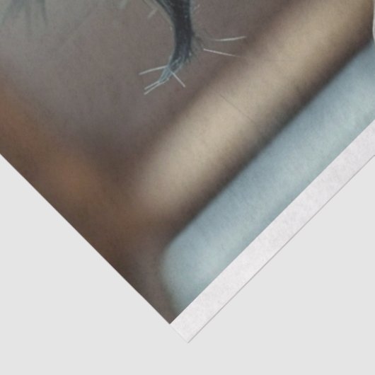 Papier Mousseline Découpage Pig Penelope au Salon (Détail)